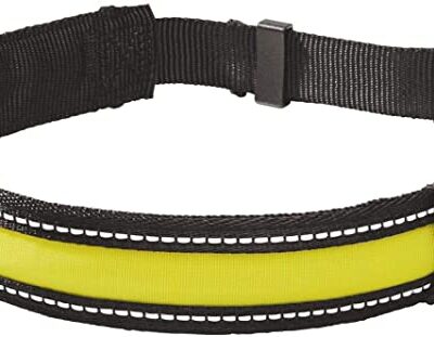 Zoofari LED Dog Collar L