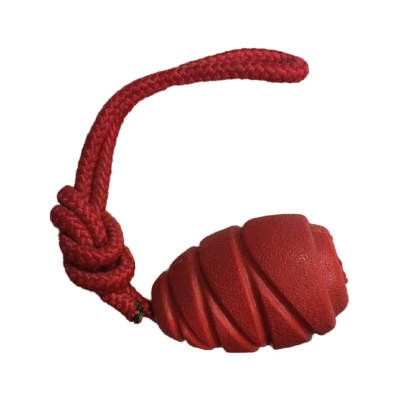 Dog Toys