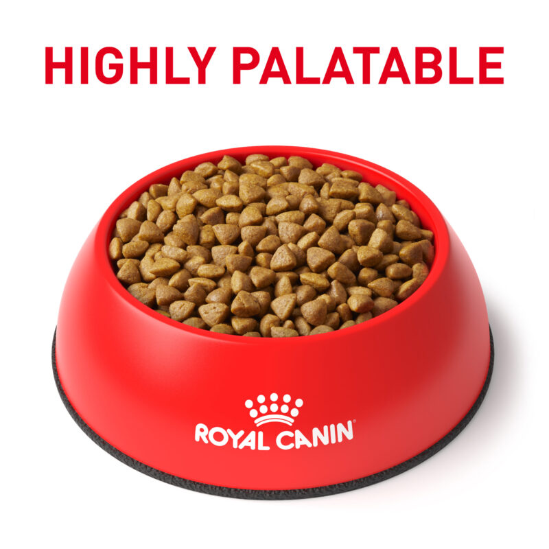 Royal Canin Gastrointestinal 2kg - Image 6