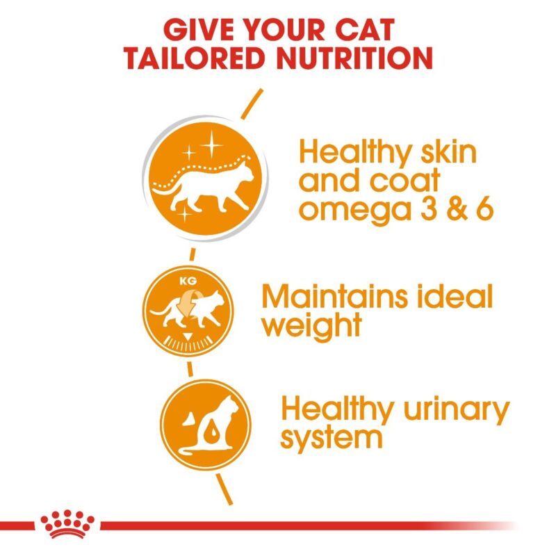 Royal Canin INTENSE BEAUTY 85g - Image 2
