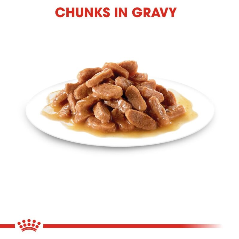 Royal Canin KITTEN INSTINCTIVE Gravy 85g - Image 2