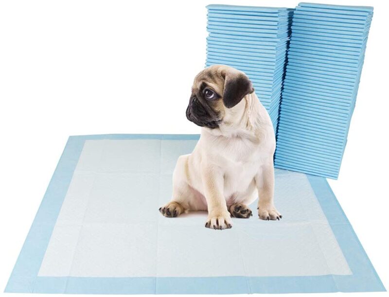 Training Pads for Dogs Puppy