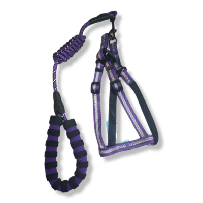 Dog harness Padded