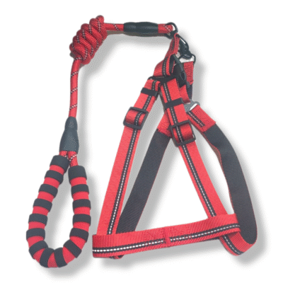 Dog harness Padded