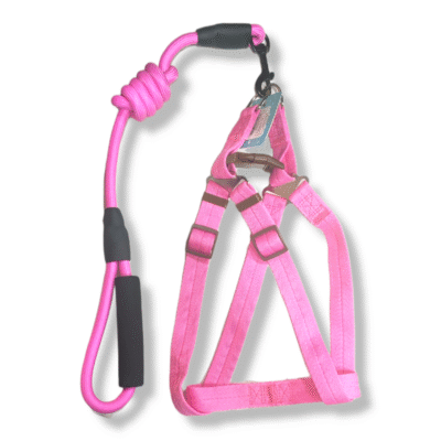 Dog Harness