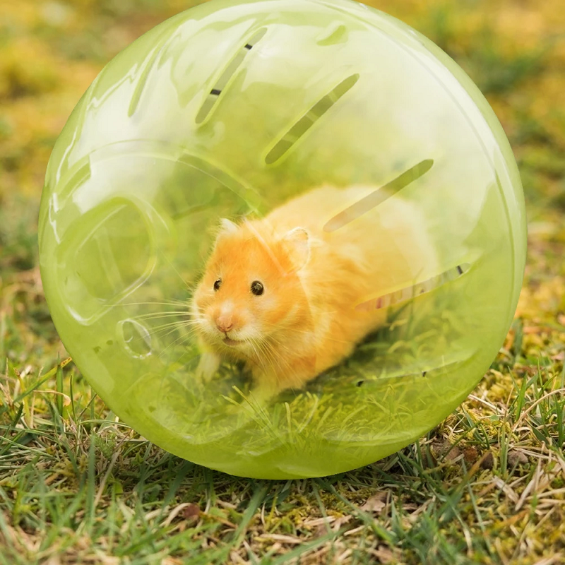 petface pet play ball for hamster