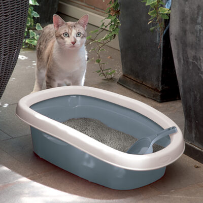 Litter Box Sprint 10