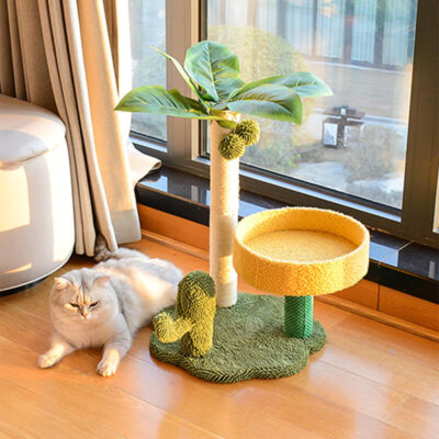 Coconut Tree Scratcher 1