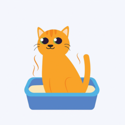 Cat Litter