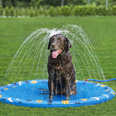 Pet Bed Water Spray Pad & Pool