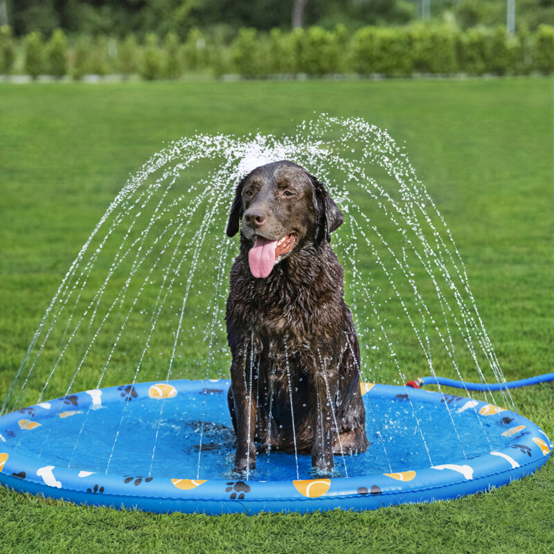 Pet Bed Water Spray Pad & Pool