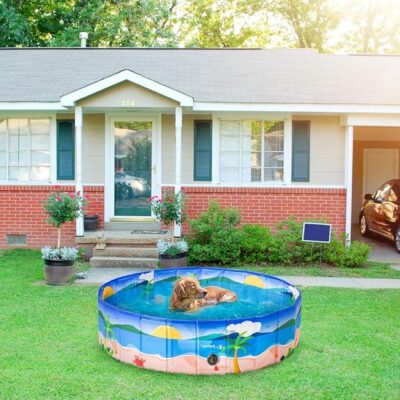 Pet Swimming Pool